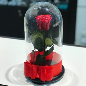 вечная роза