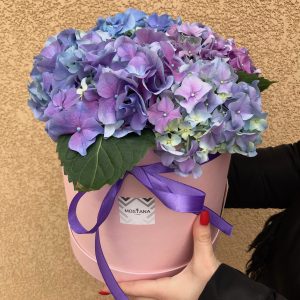 Композиция "Hydrangea Garden"