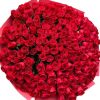 201_roses