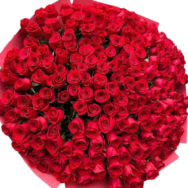 201_roses