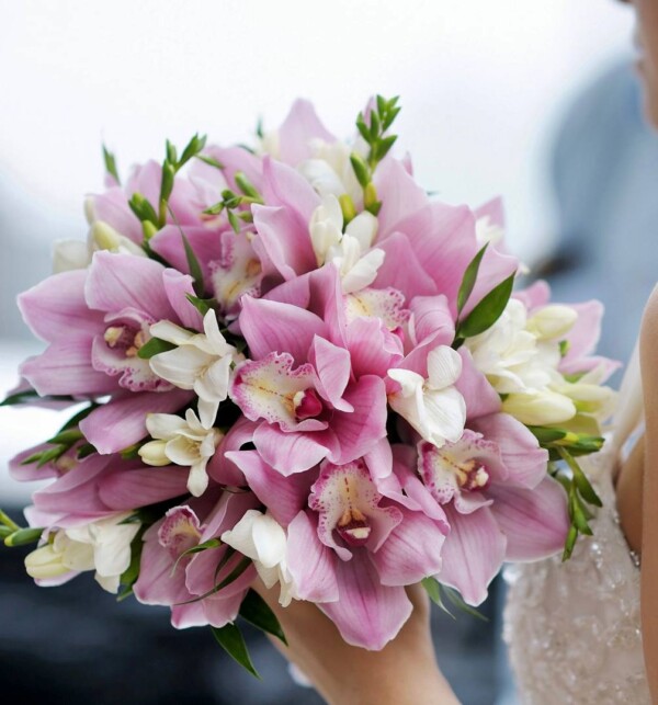 photo_2024-01-09 11.10.15